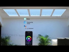 Fabricant de panneaux de plafond artificiel à lumière du ciel le meilleur prix