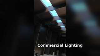 Transforming Elevator Corridors with the E Series Sky Ceiling Light