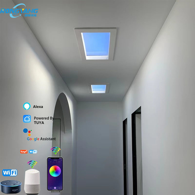 acheter CCT 2700K-6500K Plafond de lucarne LED artificiel 50W 110VDC Durable fabrication en ligne