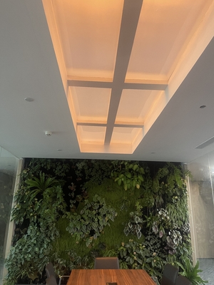 acheter Rectangle Faux Skylight Panels 220mm Highness Customizable Solutions fabrication en ligne