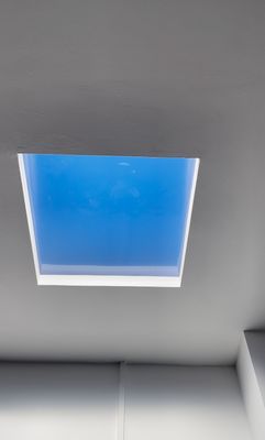 acheter Plafond lumineux artificiel LED Circadien, lumière à 30°, température de couleur 2100K–7800K, haute performance fabrication en ligne