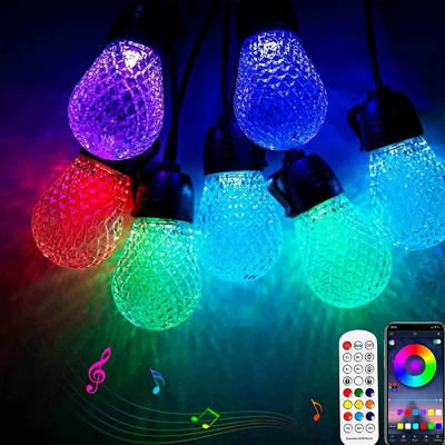 Dimmable 48ft RGB Guirlande Lumineuse Étanche DC12V 15 Ampoules App Control