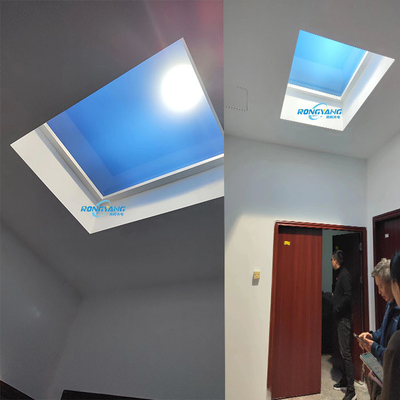 Panneau lumineux artificiel à lumière solaire verticale avec alliage d'aluminium IP65 100-240V