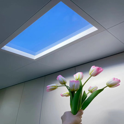 Lumière de puits SkyRay LED pour la transformation de la pièce, effet de lumière naturelle, idéale pour les environnements à faible luminosité