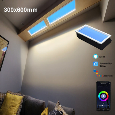 Panneau LED commercial de puits artificiels en alliage d'aluminium pour une consommation d'énergie extérieure de 300 W