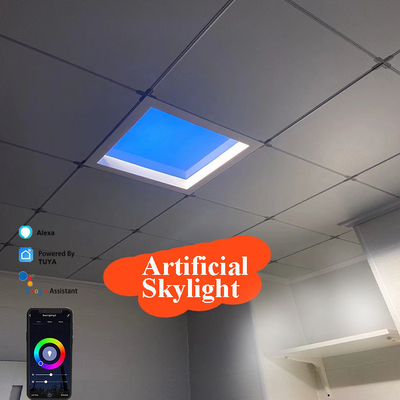 Panneau de lumière solaire artificielle IP65 pour éclairage vertical écologique 600*600*295mm
