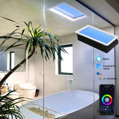 AC 100-240V lampe de thérapie de tension LED panneau de plafond lumière pour la maison plus âgés et plus jeunes