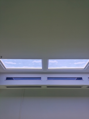 Lumière de puits LED en aluminium avec boîtier en aluminium durable et température de couleur claire 2100K-7500K