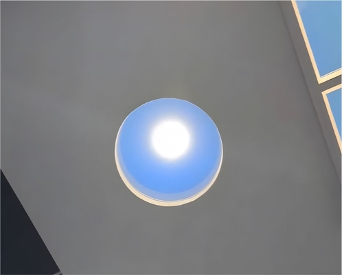 Lumière solaire artificielle avancée de forme ronde avec source lumineuse constante et réglable