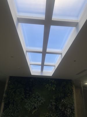 Lumière à LED artificielle intégrée pour une consommation d'énergie de 150 W, source lumineuse LED et méthode d'installation intégrée