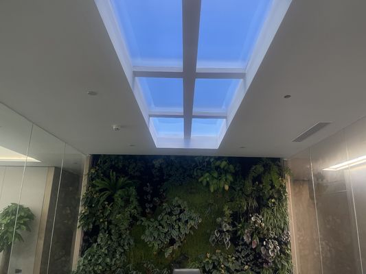 Lumière blanche couleur intégrée Ciel de lumière artificiel à LED 12kg Méthode d'installation encastrée pour commercial